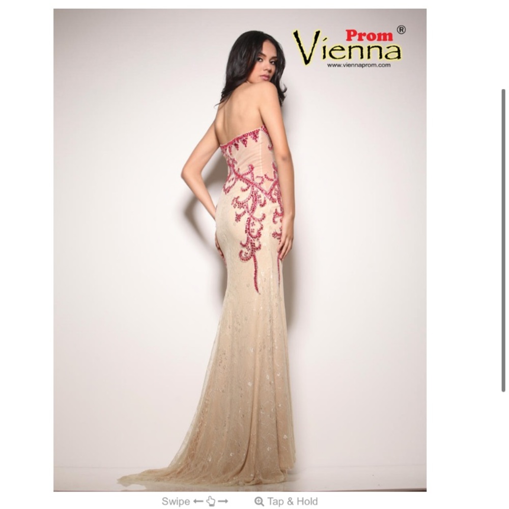 Prom Lace dress with Fuscia stones price negotiable